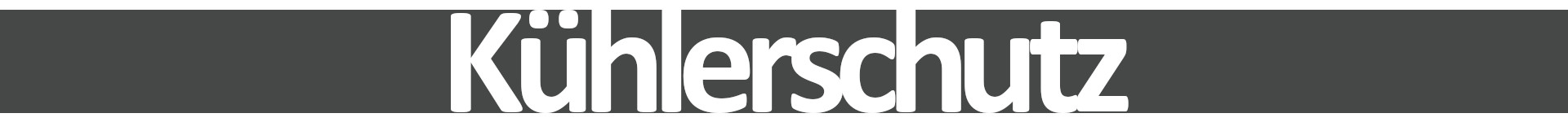 Kühlerschutz V1