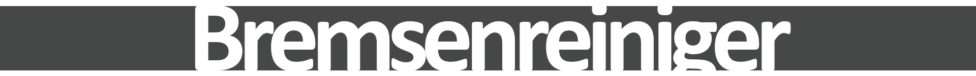 Bremsenreiniger Mobile